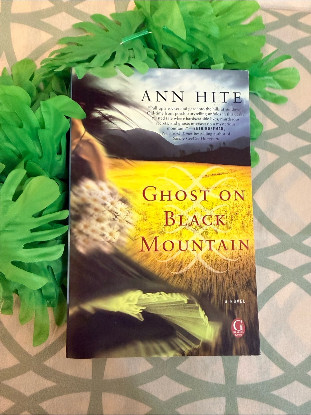 💫10/$25 • Ghost On Black Mountain by Ann‎ Hite Black Mountain Series